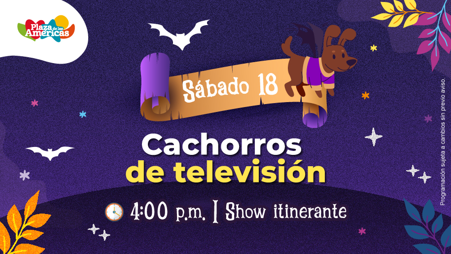 18.Cachorros-de-tv-Octubre-Directorios 18.Cachorros-de-tv-Octubre-Directorios