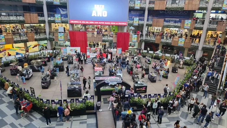 ok plaza de las americas